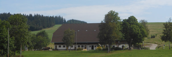 Ferien auf dem Bauernhof - Konradenhof Titissee-Neustadt