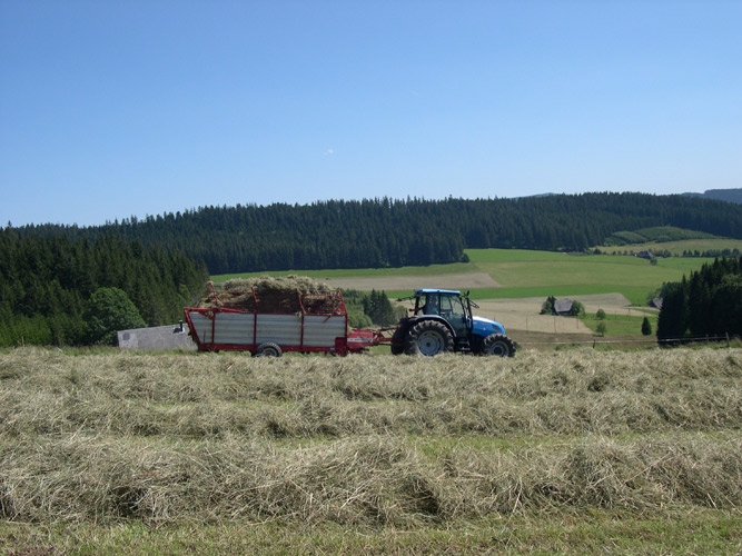 Ferien auf dem Bauernhof, Konradenhof, Titisee-Neustadt