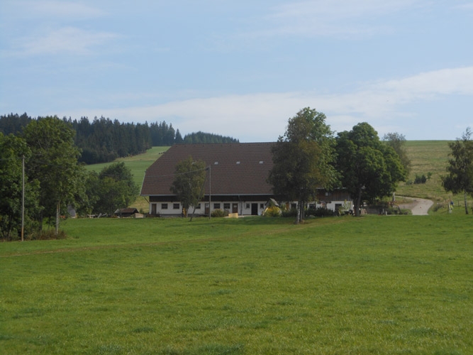 Ferien auf dem Bauernhof, Konradenhof, Titisee-Neustadt