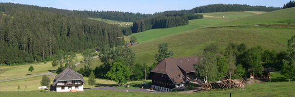 Ferien auf dem Bauernhof - Konradenhof Titissee-Neustadt