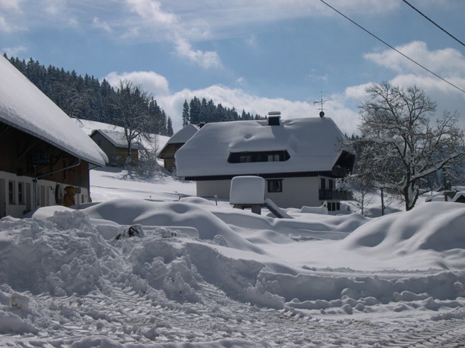 Ferien auf dem Bauernhof, Konradenhof, Titisee-Neustadt